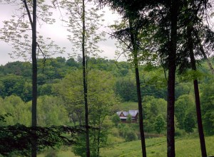 IMG_20160529_115847