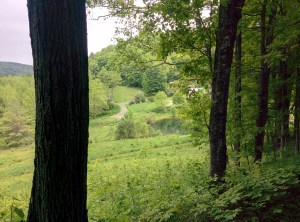 IMG_20160529_120217
